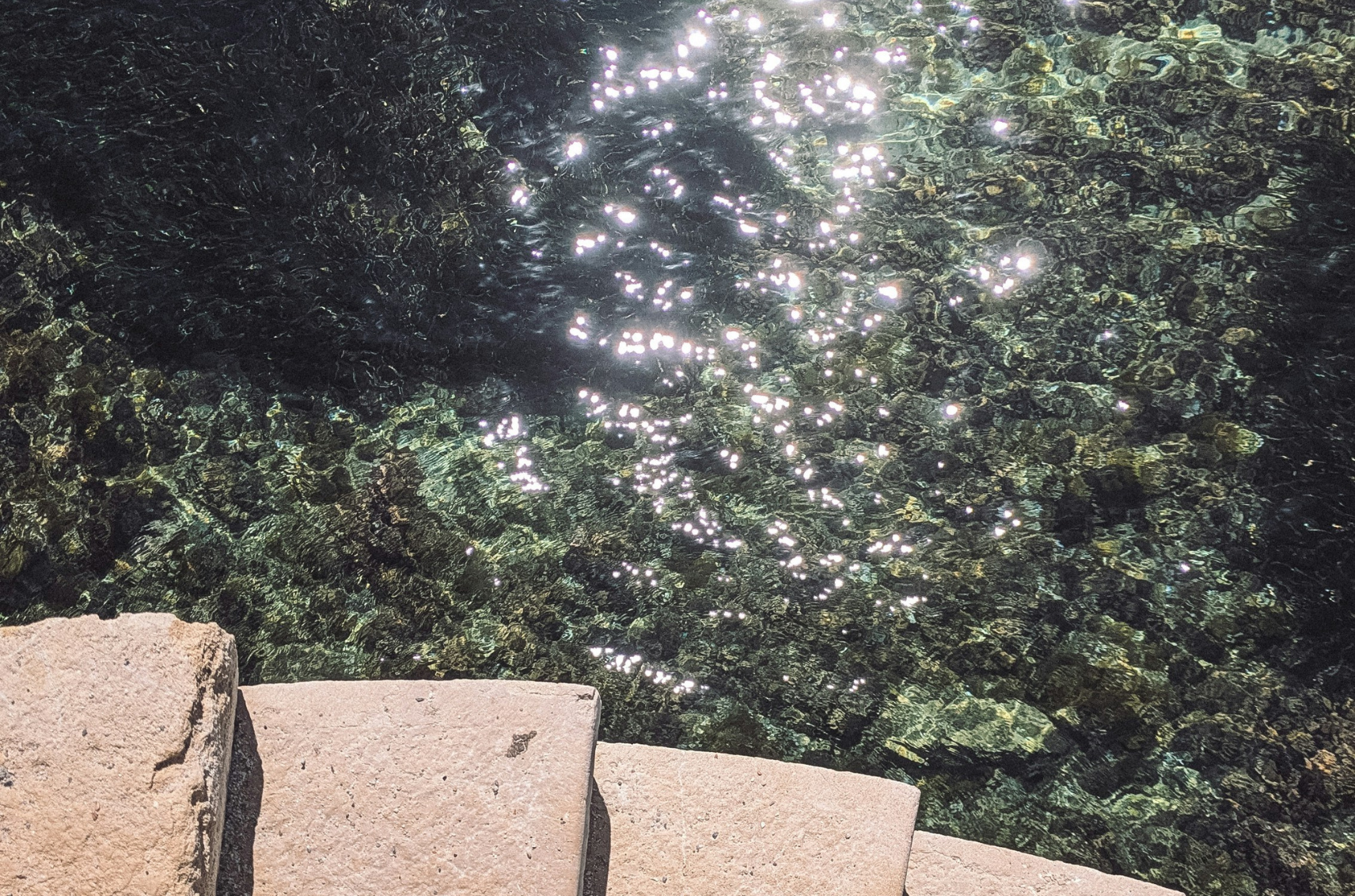 Raggiante: la luce del Mediterraneo, in ogni calice